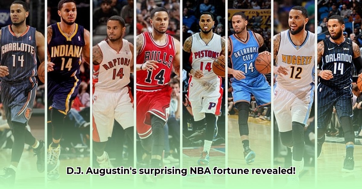 dj-augustin-net-worth